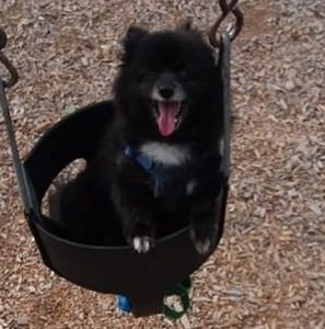 Meet your Posher, Colleen